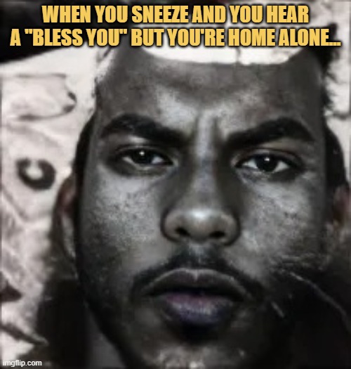 home alone meme