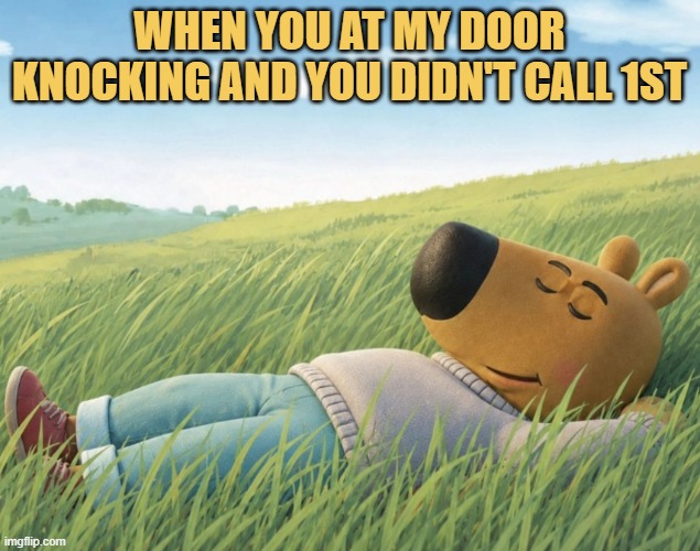 i will ignore it meme