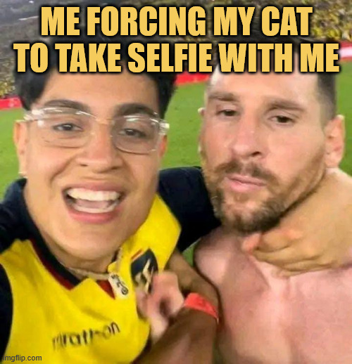 come on, take a picture sweetie meme