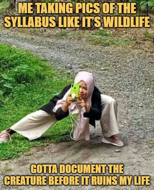 gotta document the creature before it ruins my life.jpeg meme