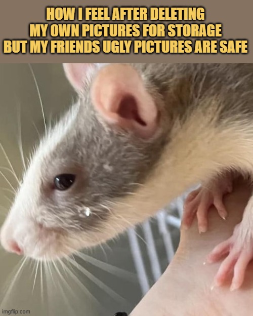 Do you have evil friends?
