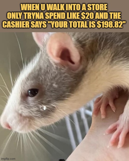 how did it become $198.82? meme