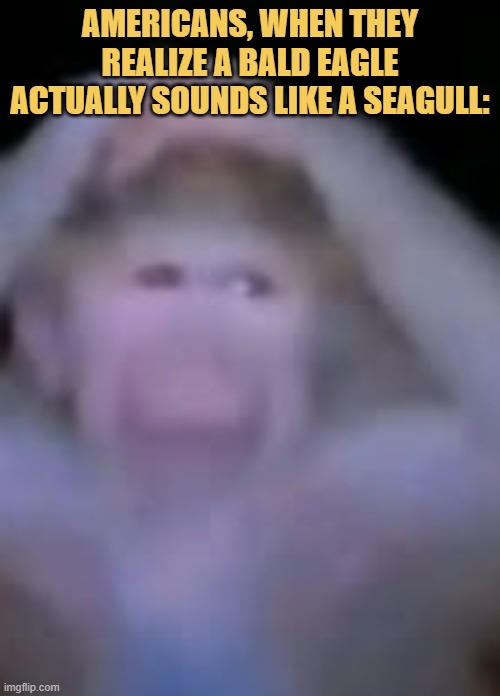 bald eagle meme