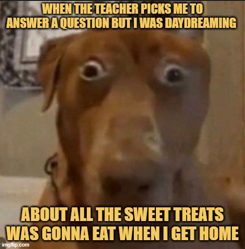 i was daydreaming meme