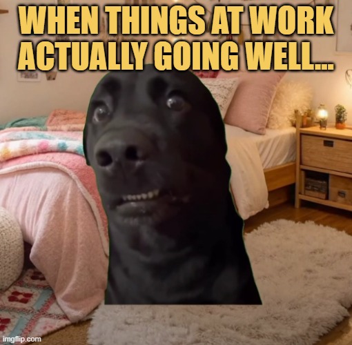 that is sus meme