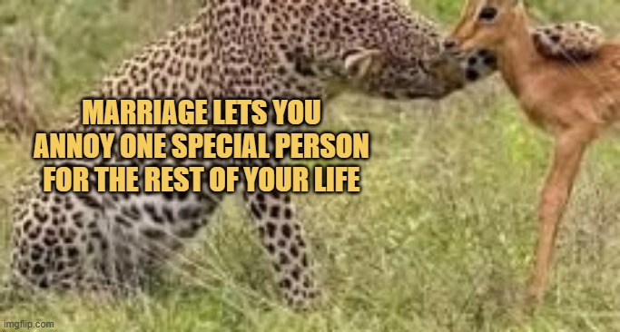 my advise on marriage