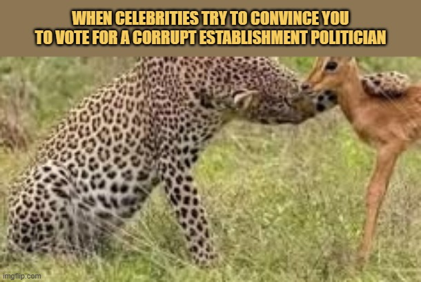 Politicians be like