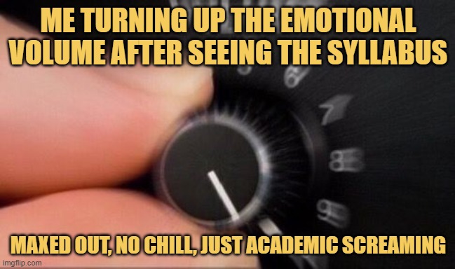 maxed out, no chill, just academic screaming.jpeg meme
