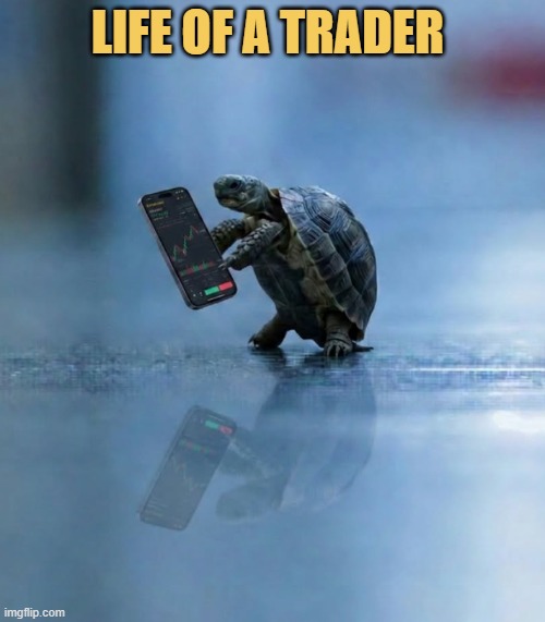 profit moves like a turtle and losses pile ups like a cheetah meme