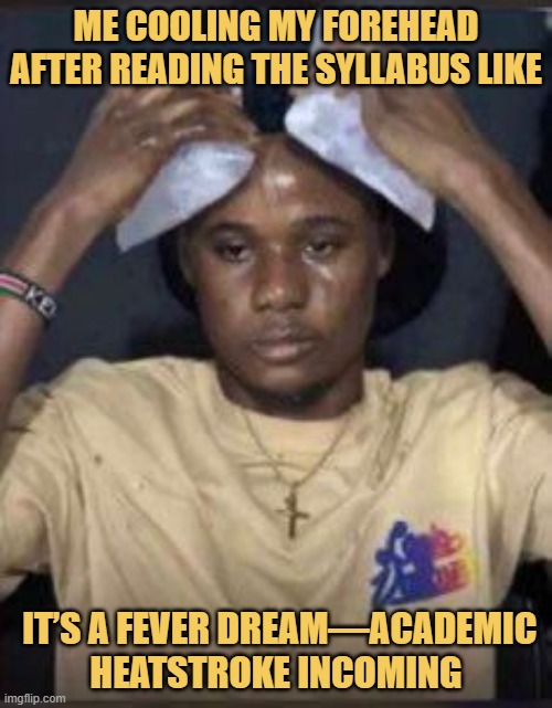 me cooling my forehead after reading the syllabus like.jpeg meme