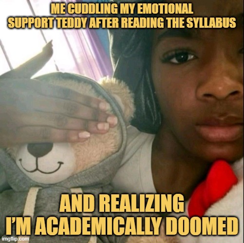 me cuddling my emotional support teddy after reading the syllabus.jpeg meme