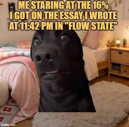 Flow state writing