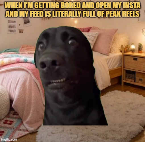 my instagram is not creepy