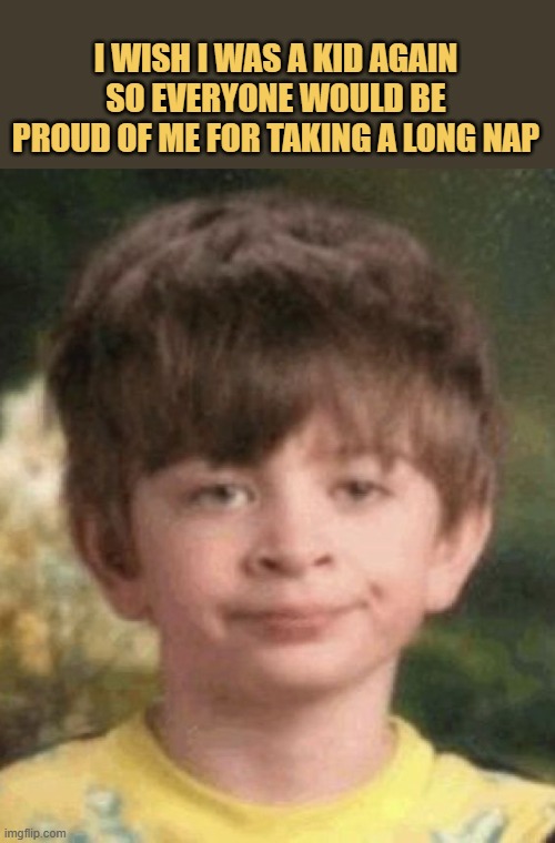 i wish i was a kid again meme