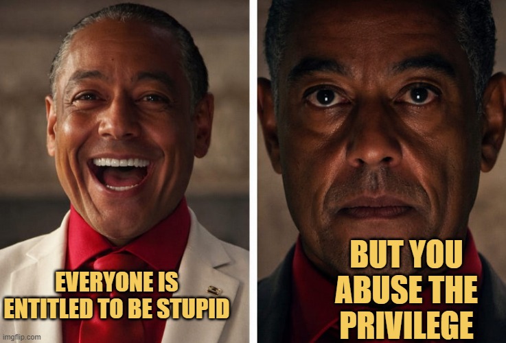 you are more stupid meme