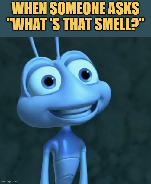you farted in public meme