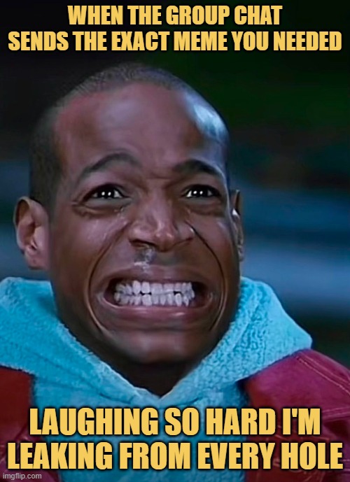 laughing so hard i'm leaking from every hole meme