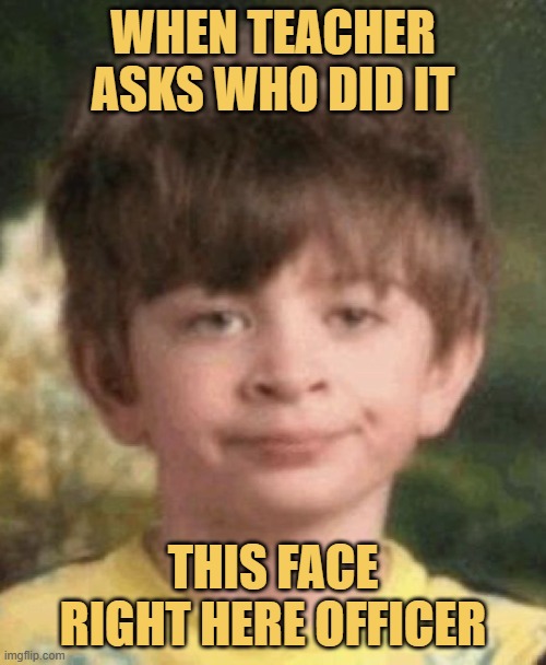 this face right here officer meme