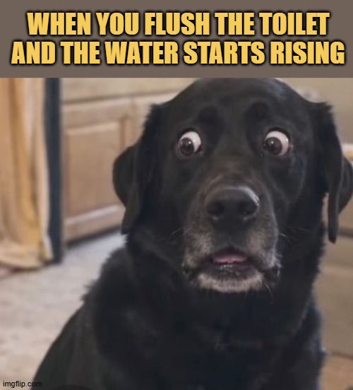 When you flush