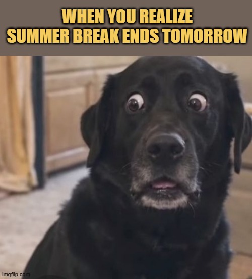 Summer break is over