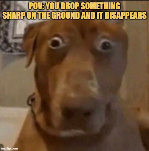 what was that thing? meme