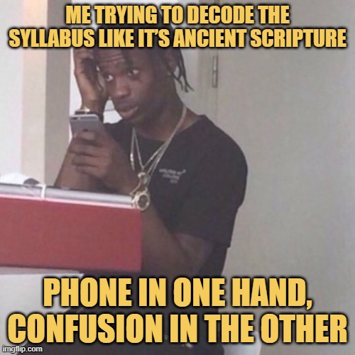 phone in one hand, confusion in the other.jpeg meme