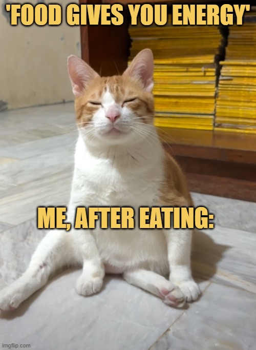 Food gives you energy?