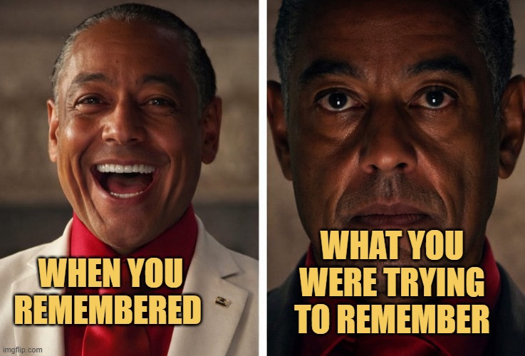 memory loss meme
