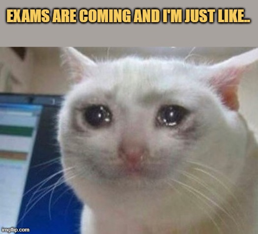 i don't want to fail meme