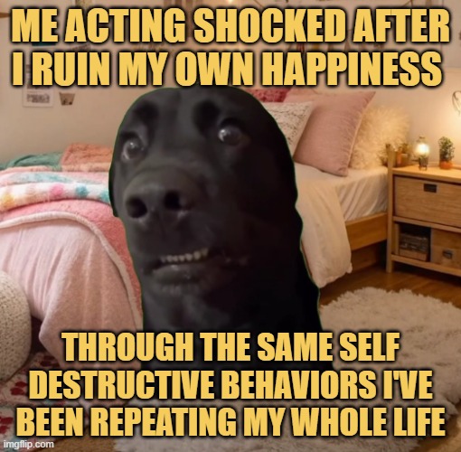 I am shocked