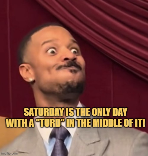 turd in saturday meme