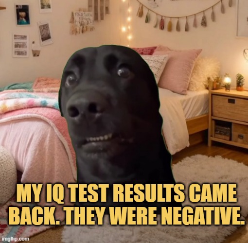 Am I the dumbest Einstein?