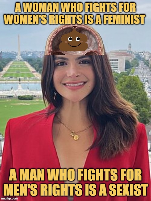 average feminishits be like meme