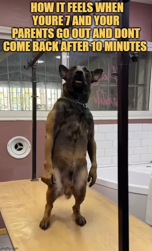 where are my parents? meme