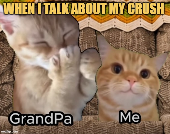 it's not funny meme