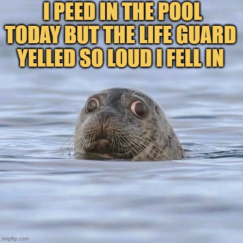 drowned in my own toilet meme