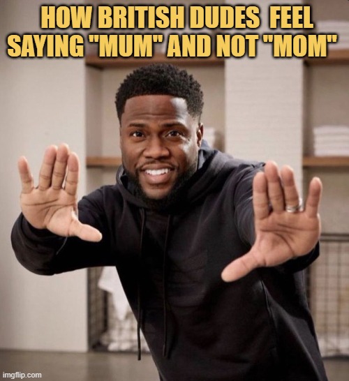 british vocabulary meme