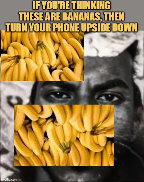 nothing has surprised me meme