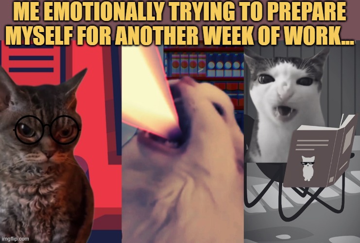 preparing myself meme