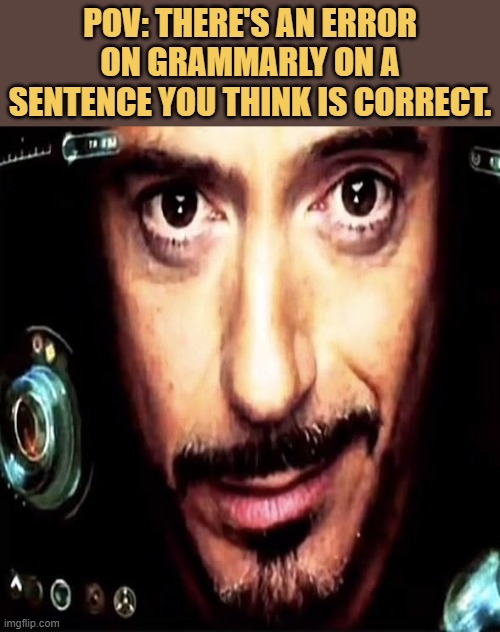 i know more than grammerly meme