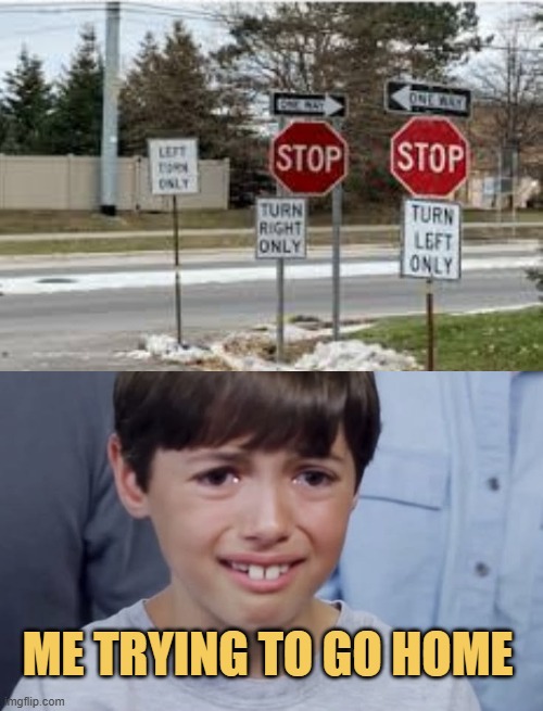 where should i stop where should i go meme