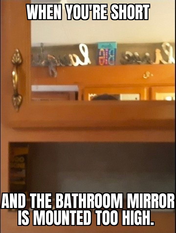 being short isn't easy. meme