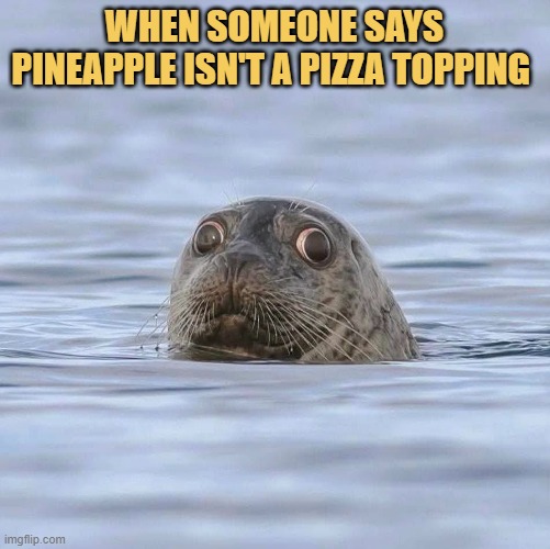 pinapple belongs to pizza meme
