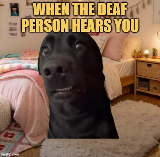 The person was not blind