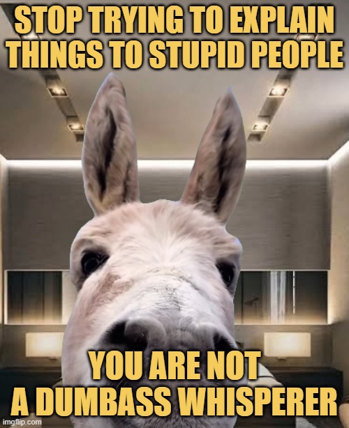 are you  dumbass whisperer meme