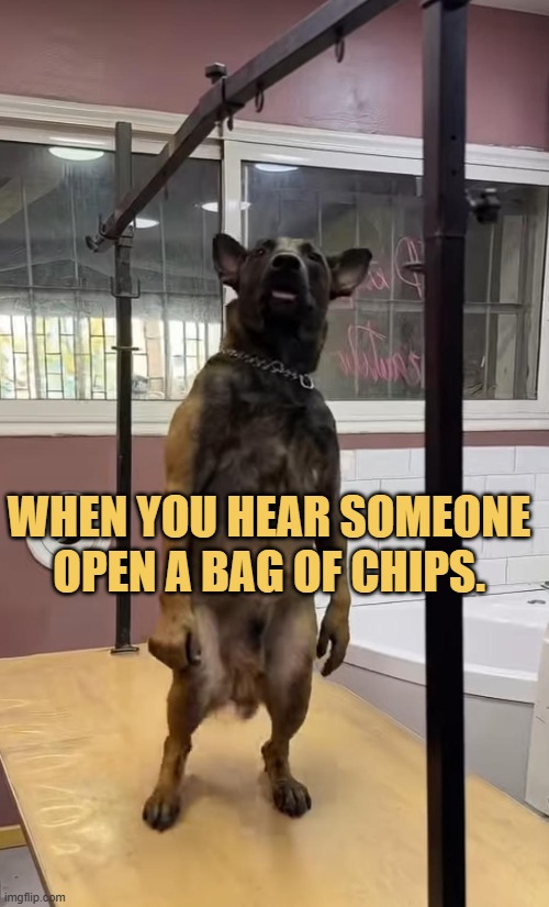Give me some