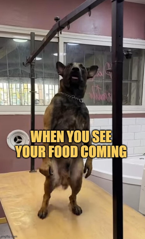 Hurry up