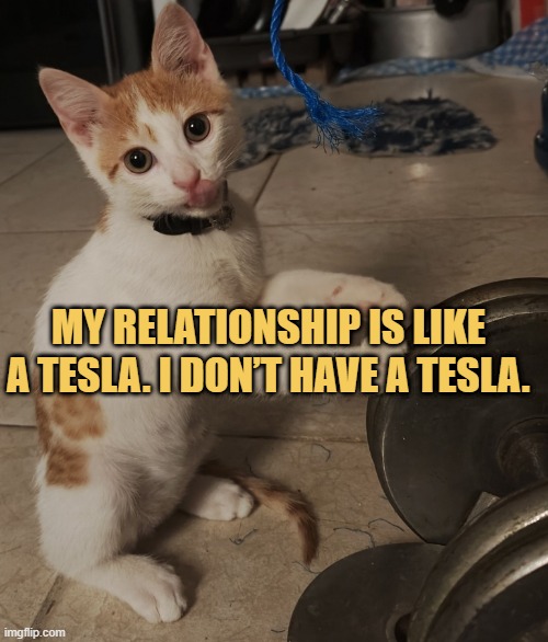 Tesla relationship