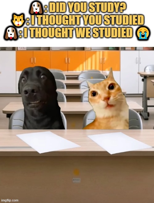 we are cooked meme