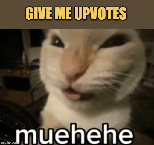 friends never downvotes meme